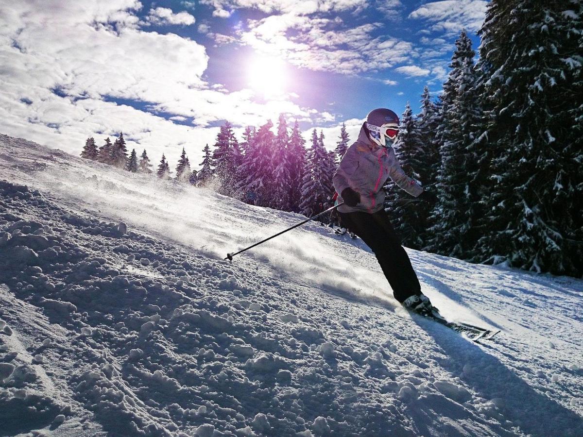 לאקנהוף Mountainlodge Am Oetscher מראה חיצוני תמונה